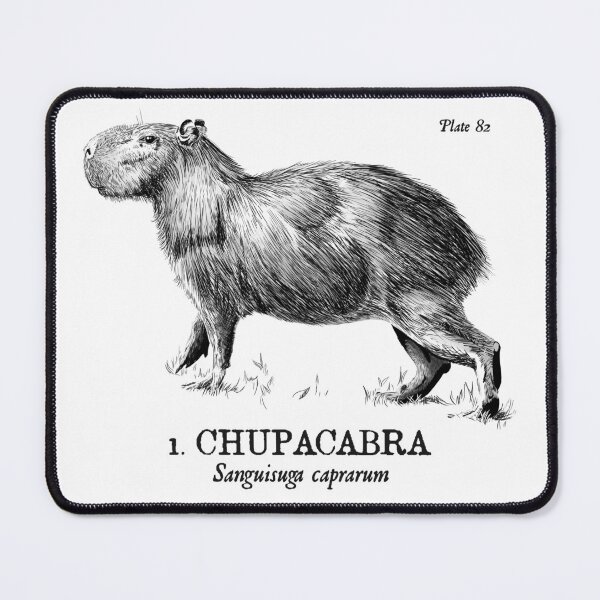 Item preview, That’s a Capybara, Dave. designed and sold by fuzzytooth.