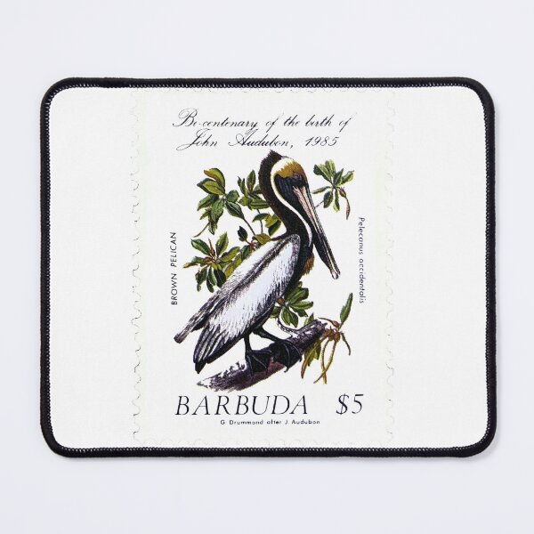 Item preview, Vintage Barbuda Brown Pelican Bird Postage Stamp designed and sold by red-amber65.
