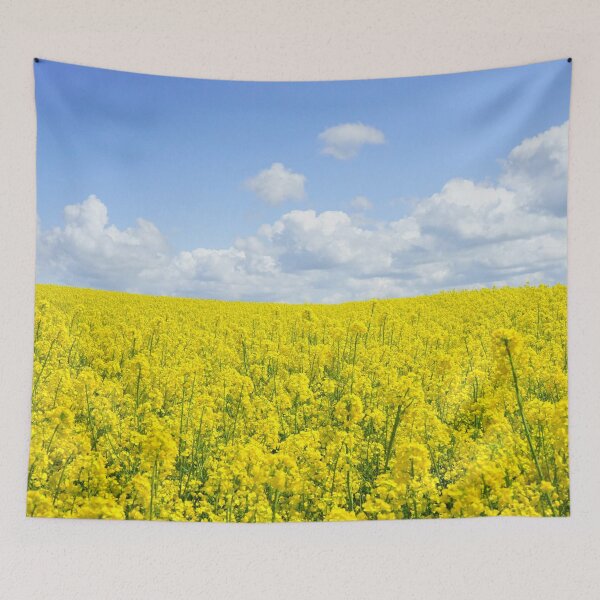 Item preview, Yellow Flower Field Under Blue Cloudy Sky during Daytime designed and sold by Ataqhin.