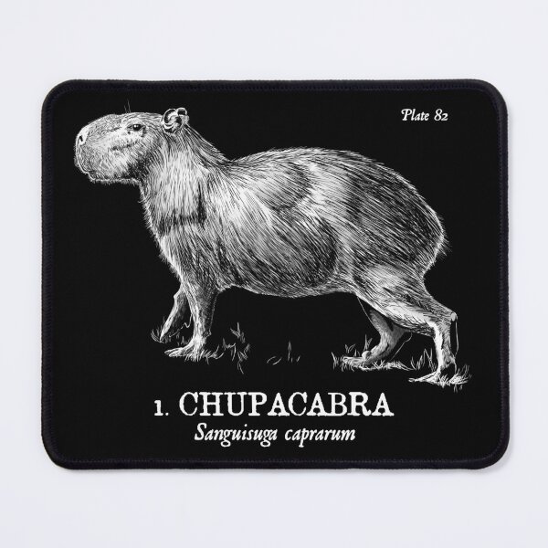 Item preview, That’s a Capybara, Dave. (for dark background) designed and sold by fuzzytooth.