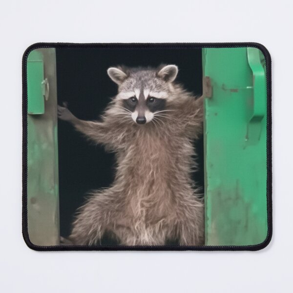 Item preview, Racoon in a green dumpster designed and sold by bloria.