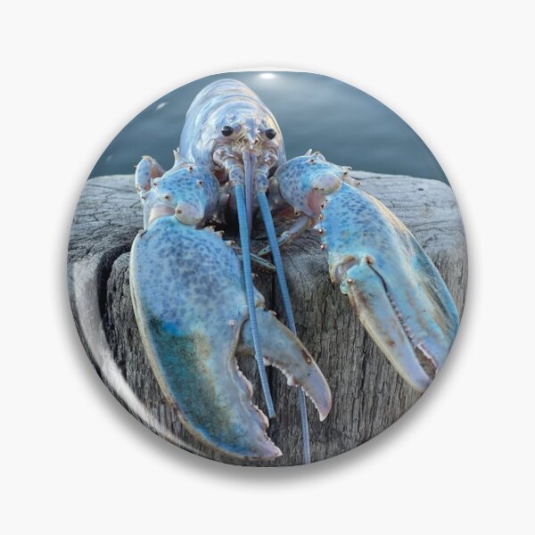 Item preview, Blue Lobster Meme designed and sold by klaro45.