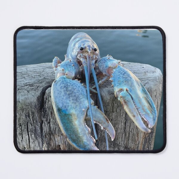 Item preview, Blue Lobster Meme designed and sold by klaro45.