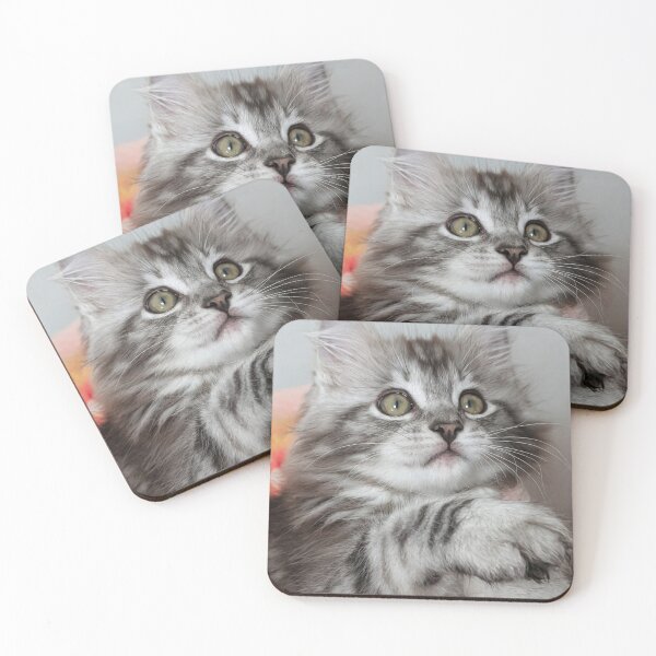 Item preview, Maine coon kitten  designed and sold by Fluffycat2020.