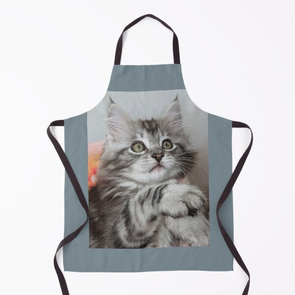Item preview, Maine coon kitten  designed and sold by Fluffycat2020.