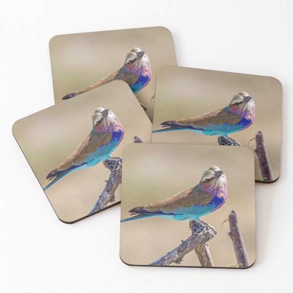 Item preview, Lilac Breasted Roller With Tilted Head On Savannah Perch designed and sold by DavideAntoniani.