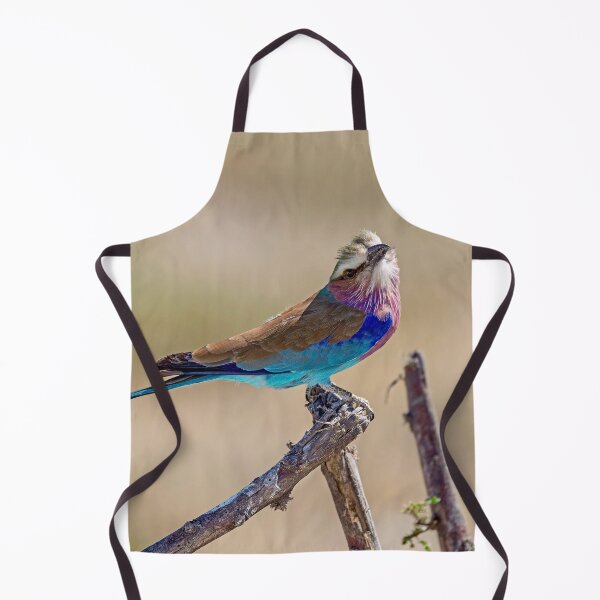 Item preview, Lilac Breasted Roller With Tilted Head On Savannah Perch designed and sold by DavideAntoniani.