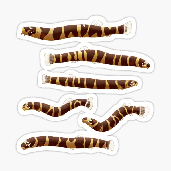 Kuhli Loaches Sticker