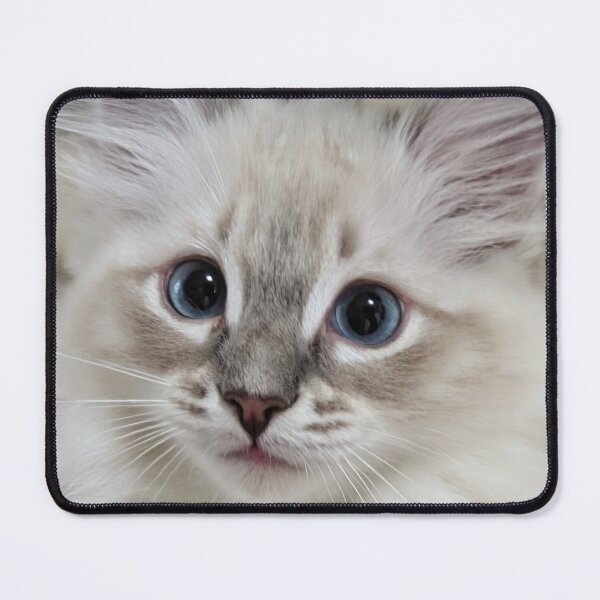 Item preview, Lynx ragdoll kitten designed and sold by Fluffycat2020.