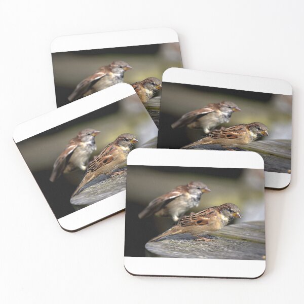 Item preview, Holy Island Birds designed and sold by Mischa.