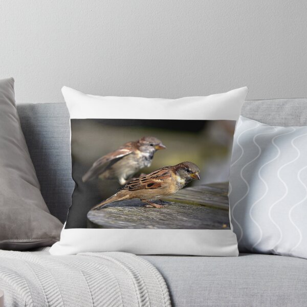 Aperçu de l'œuvre Oiseaux de l'île Sainte créée et vendue par Mischa.