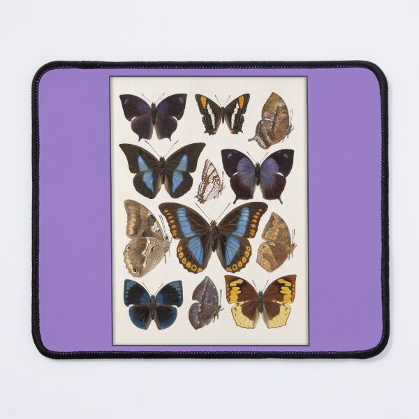 Item preview, Lepidopterological Print: Butterflies designed and sold by Tridentulus.