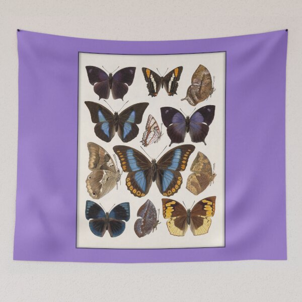 Item preview, Lepidopterological Print: Butterflies designed and sold by Tridentulus.