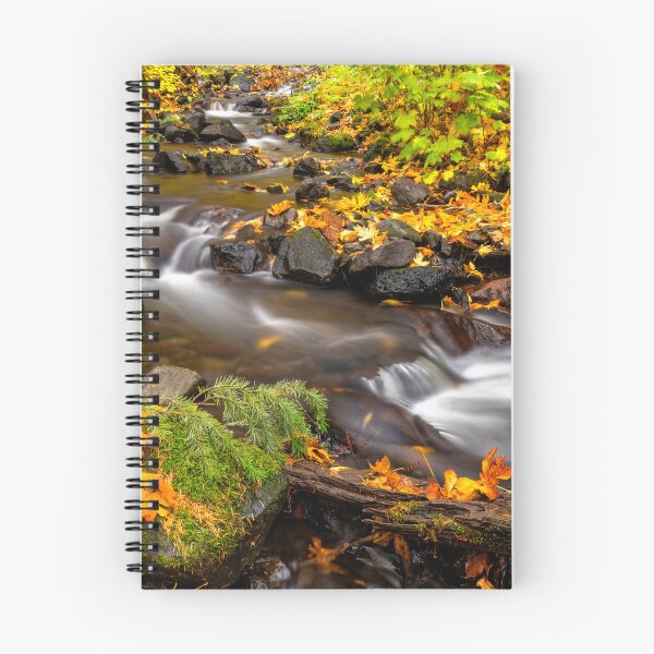 Item preview, Fallen to Earth designed and sold by DawsonImages.