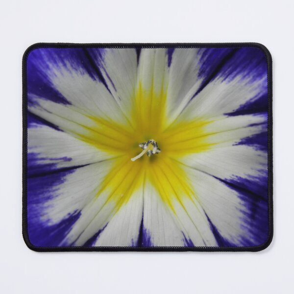 Item preview, Tricolor bellflower designed and sold by birgitsfotoshop.