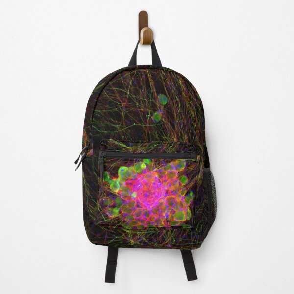 Item preview, Dorsal Root Ganglion Neuron Cluster designed and sold by MicroLife-DSG.