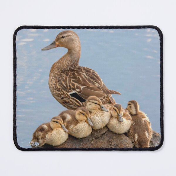Item preview, A Mallard duck with her ducklings designed and sold by Production Art Manon Meilleur.