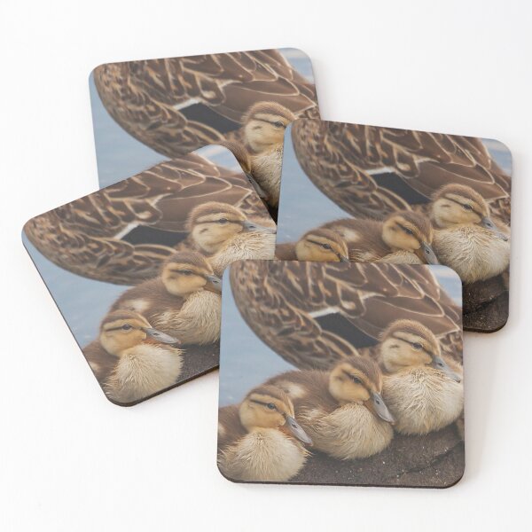 Item preview, A Mallard duck with her ducklings designed and sold by Production Art Manon Meilleur.