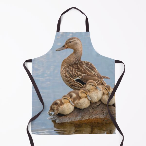 Item preview, A Mallard duck with her ducklings designed and sold by Production Art Manon Meilleur.