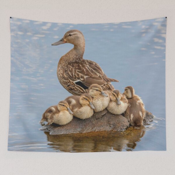 Item preview, A Mallard duck with her ducklings designed and sold by Production Art Manon Meilleur.