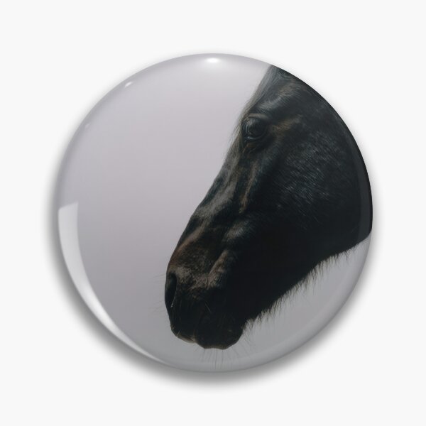 Item preview, Black horse profile in soft light designed and sold by anytka.