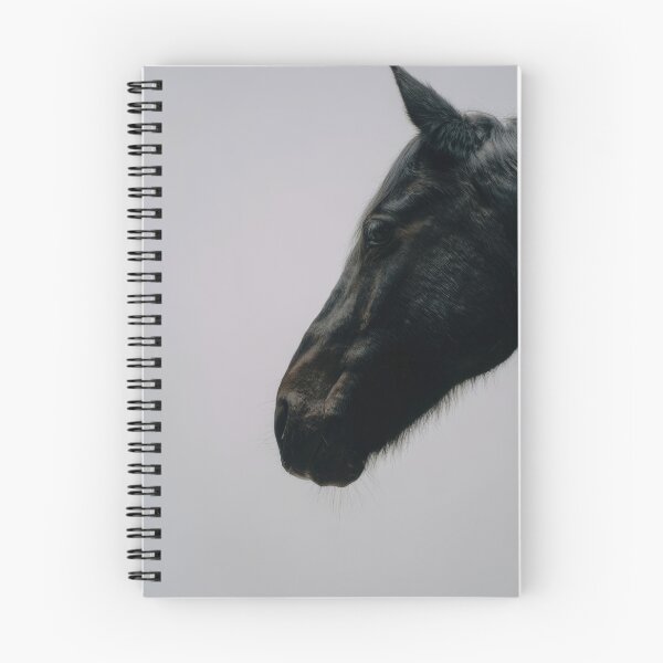 Item preview, Black horse profile in soft light designed and sold by anytka.