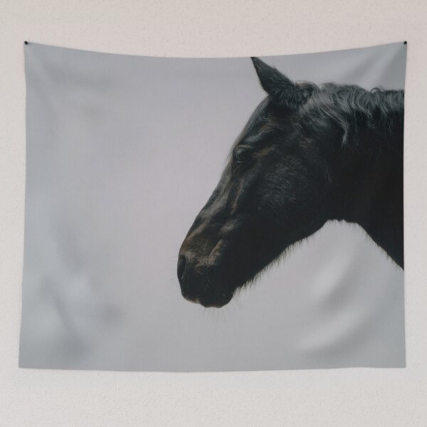 Item preview, Black horse profile in soft light designed and sold by anytka.