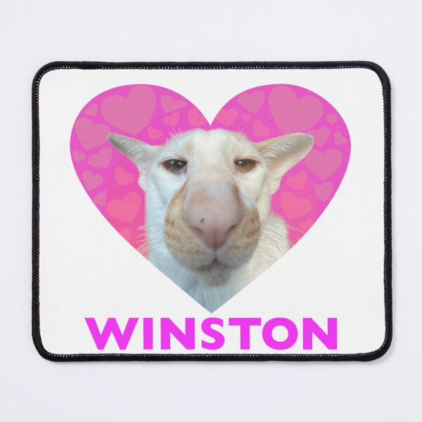 Aperçu de l'œuvre Winston. créée et vendue par hannahzgreat.