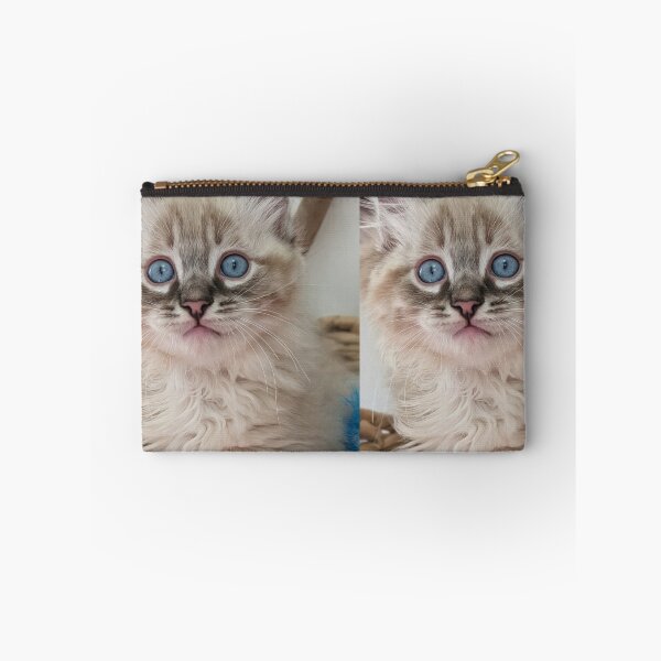 Item preview, Lynx ragdoll kitten designed and sold by Fluffycat2020.