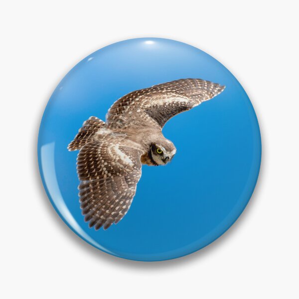 Item preview, Burrowing Owl Dive designed and sold by DawsonImages.