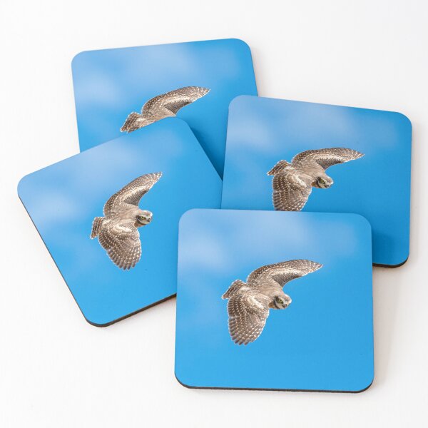Item preview, Burrowing Owl Dive designed and sold by DawsonImages.