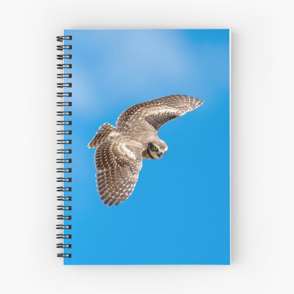 Item preview, Burrowing Owl Dive designed and sold by DawsonImages.
