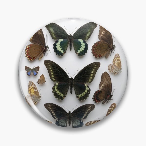 Item preview, Lepidopterological Print: Colorful Butterflies designed and sold by Tridentulus.
