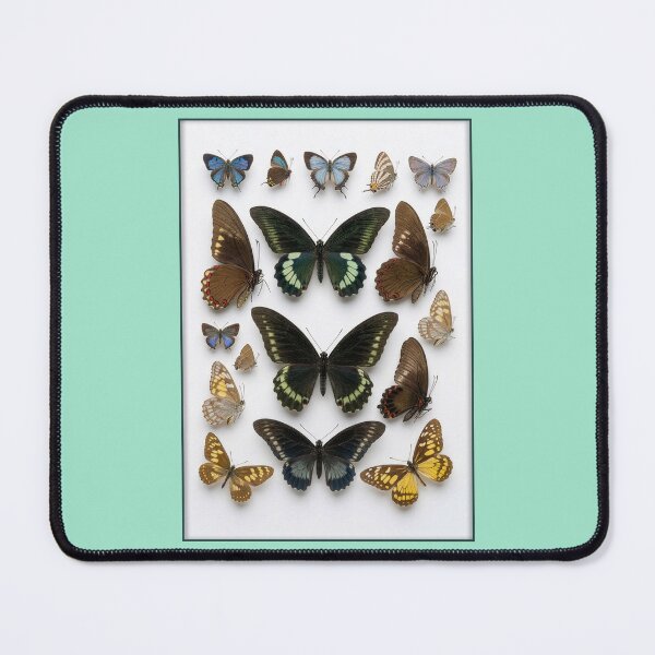Item preview, Lepidopterological Print: Colorful Butterflies designed and sold by Tridentulus.