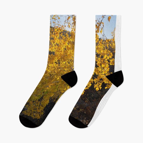 Item preview, Golden Path designed and sold by DawsonImages.