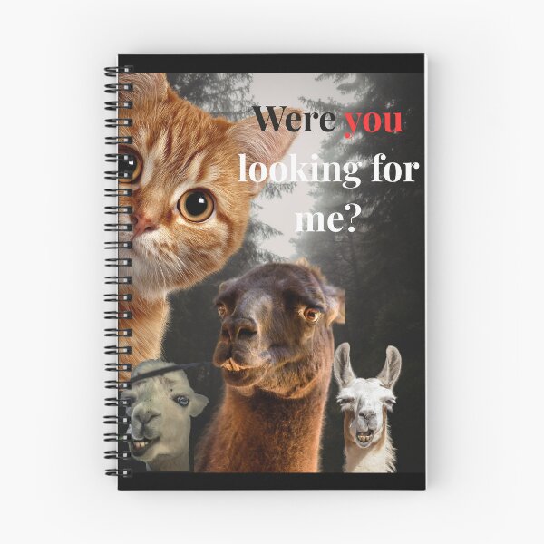 Artikelvorschau, Lustiges Tier-Meme-Poster – Katzen- und Lama-Humor-Kunstdruck – „Hast du mich gesucht?“ Niedliche Haustier-Wanddeko entworfen und verkauft von A&M.