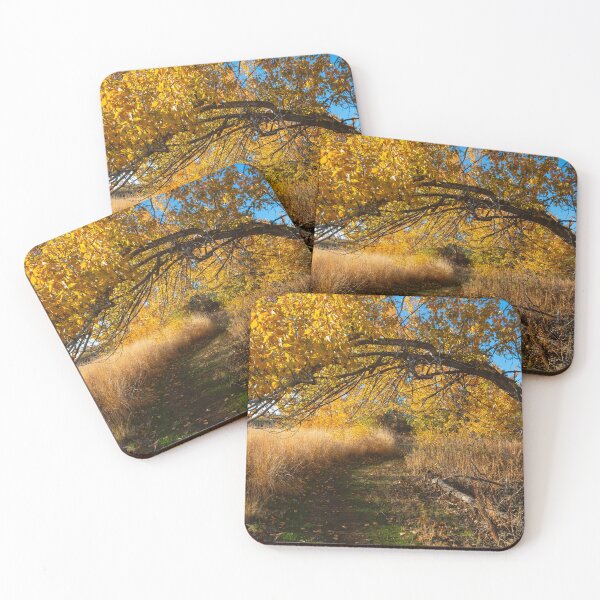 Item preview, Golden Arch Trail designed and sold by DawsonImages.