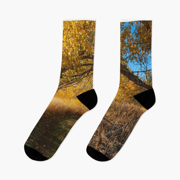 Item preview, Golden Arch Trail designed and sold by DawsonImages.
