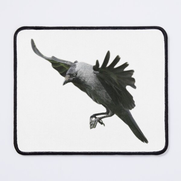 Item preview, Crow in flight designed and sold by di-Vera-Rosati.