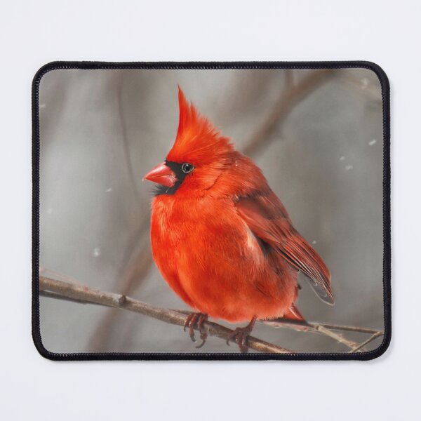 Item preview, The Stoic designed and sold by Lois  Bryan.
