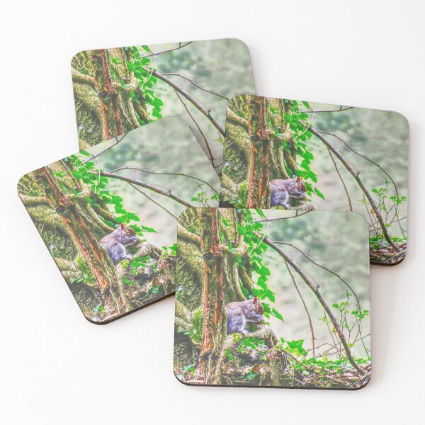 Item preview, Squirrel in the undergrowth sketch designed and sold by ChimaHome.
