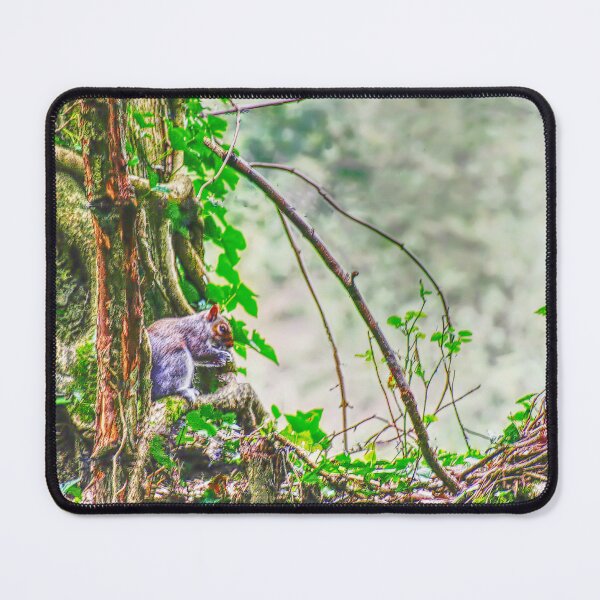 Item preview, Squirrel in the undergrowth sketch designed and sold by ChimaHome.
