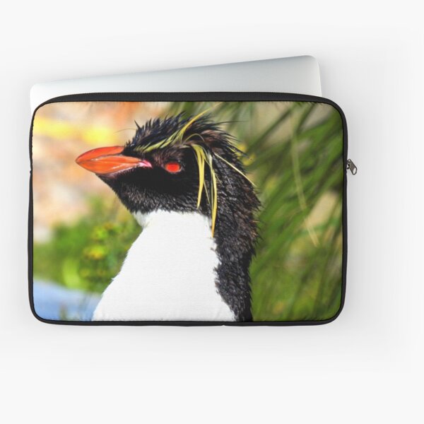 Aperçu de l'œuvre Rockhopper au soleil créée et vendue par Barnbk02.