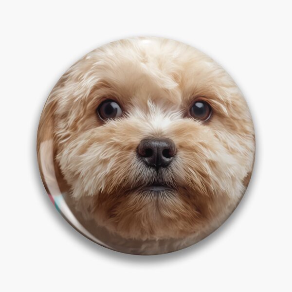 Artikelvorschau, Maltipoo Colorful entworfen und verkauft von TobyTheMaltipoo.