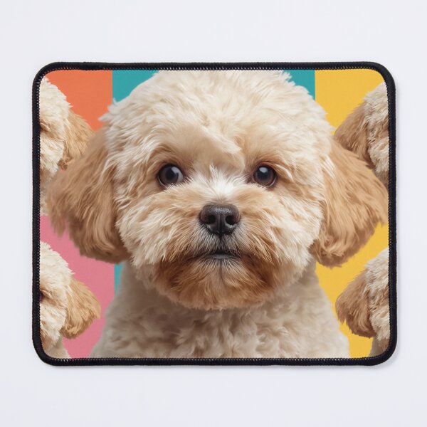 Artikelvorschau, Maltipoo Colorful entworfen und verkauft von TobyTheMaltipoo.