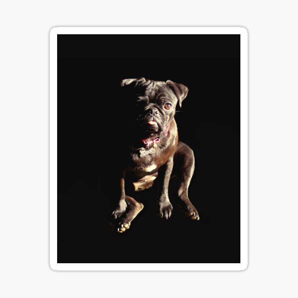 Ella Fitzgerald - RIP Sticker