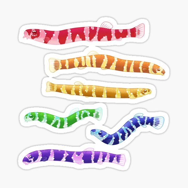 Rainbow Kuhli Loaches Sticker