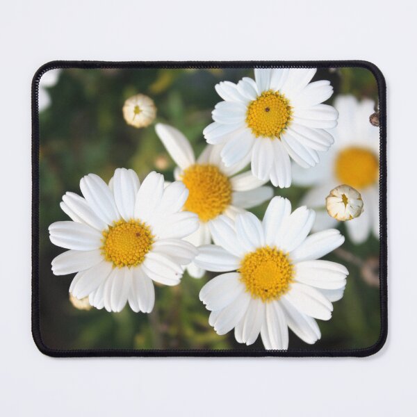 Item preview, White Daisy's  designed and sold by Ivy's Creations.