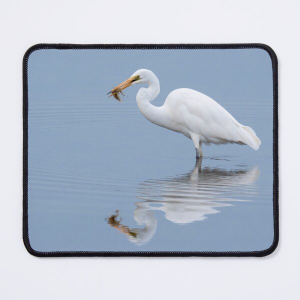 Item preview, Great Egret designed and sold by iansmissenphoto.