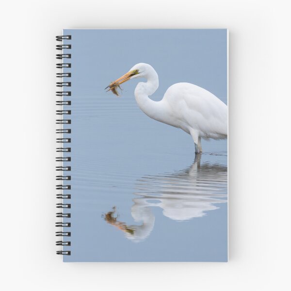 Item preview, Great Egret designed and sold by iansmissenphoto.